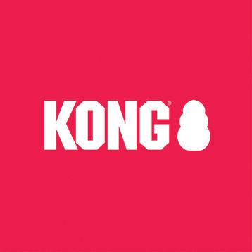Kong Logo